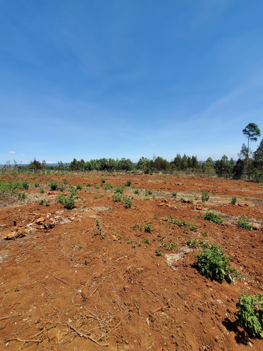 caption for 50 by 100 PLOTS FOR SALE IN KAMANGU-GITUTHA KIAMBU